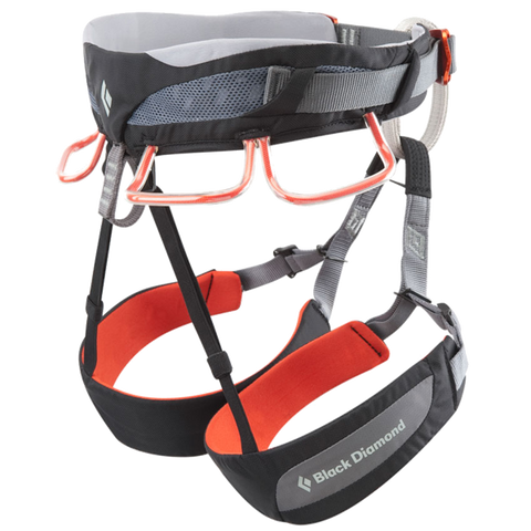 Black Diamond Momentum DS2012 all-purpose harness